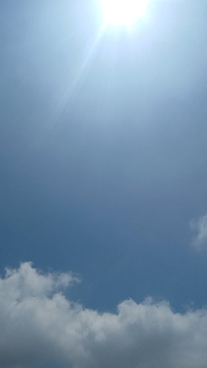 مشاركاتي في أنت الراصد