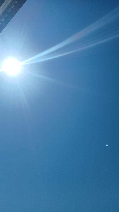 مشاركاتي في أنت الراصد