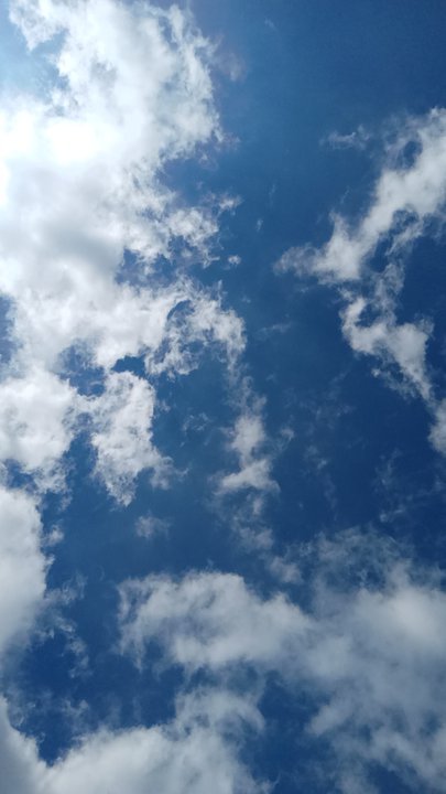 مشاركاتي في أنت الراصد