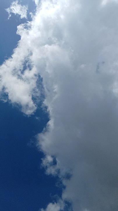 مشاركاتي في أنت الراصد