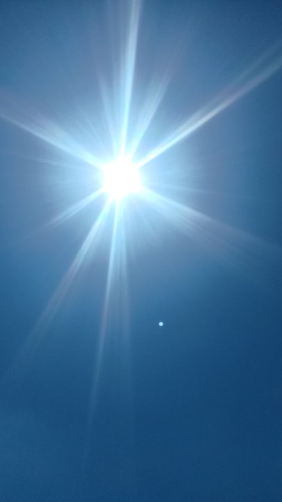 مشاركاتي في أنت الراصد