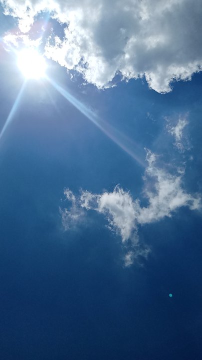 مشاركاتي في أنت الراصد