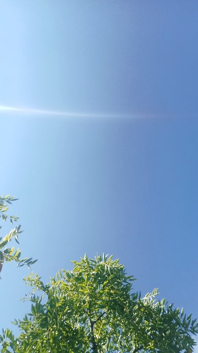 مشاركاتي في أنت الراصد