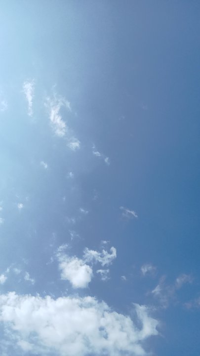 مشاركاتي في أنت الراصد