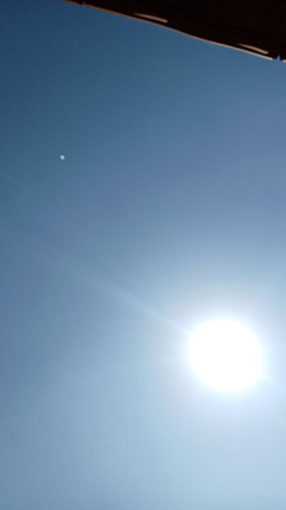 مشاركاتي في أنت الراصد