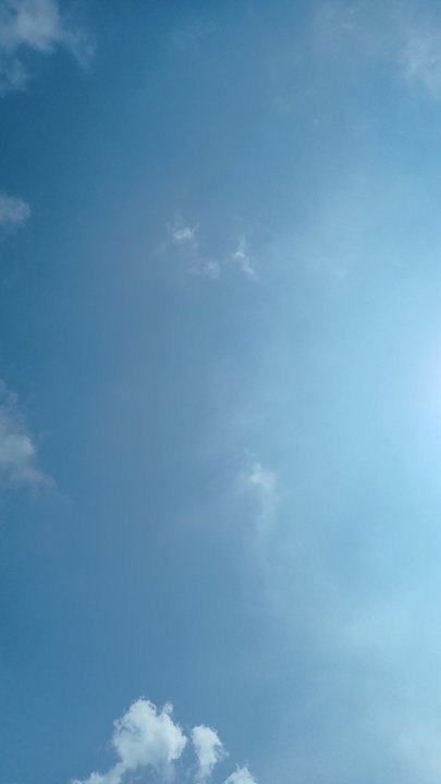 مشاركاتي في أنت الراصد