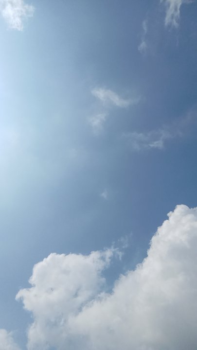 مشاركاتي في أنت الراصد