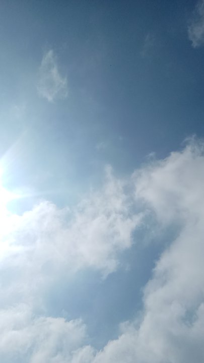 مشاركاتي في أنت الراصد