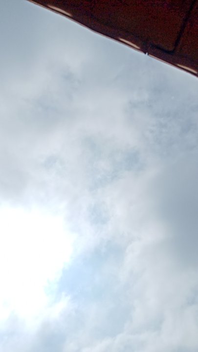 مشاركاتي في أنت الراصد