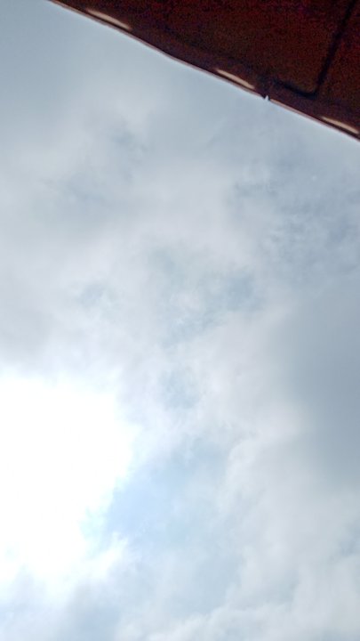 مشاركاتي في أنت الراصد