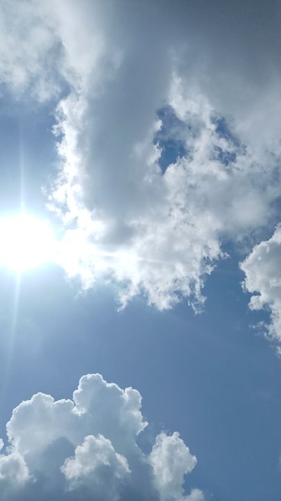 مشاركاتي في أنت الراصد