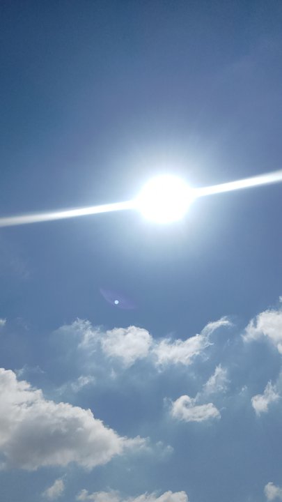 مشاركاتي في أنت الراصد