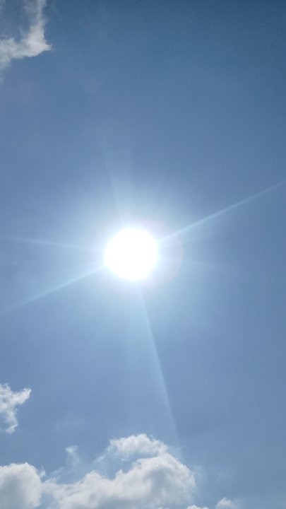 مشاركاتي في أنت الراصد