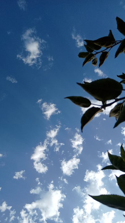 مشاركاتي في أنت الراصد