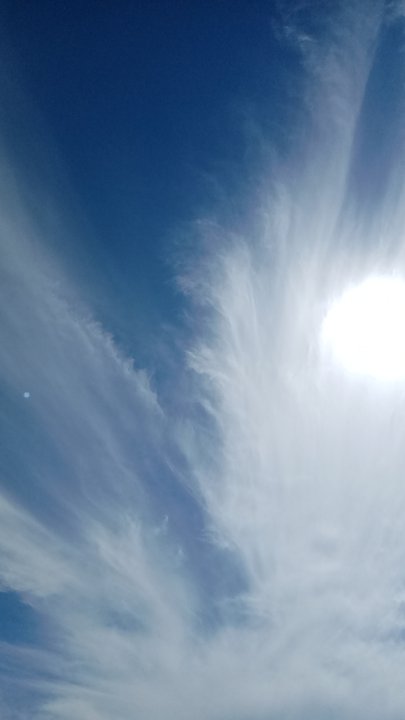 مشاركاتي في أنت الراصد