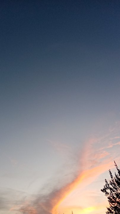 مشاركاتي في أنت الراصد