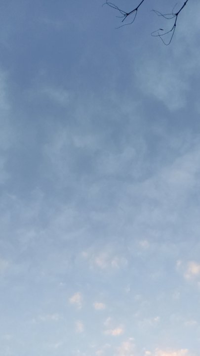 مشاركاتي في أنت الراصد