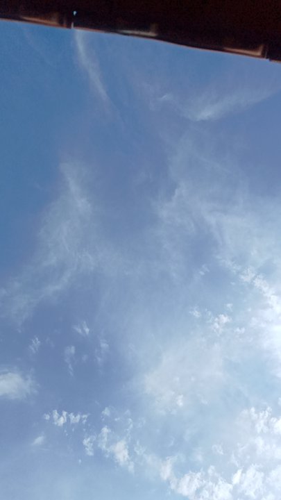 مشاركاتي في أنت الراصد