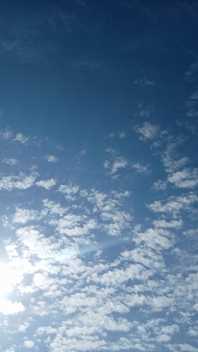 Mes publications Crowdsourcing