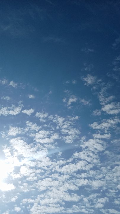 مشاركاتي في أنت الراصد