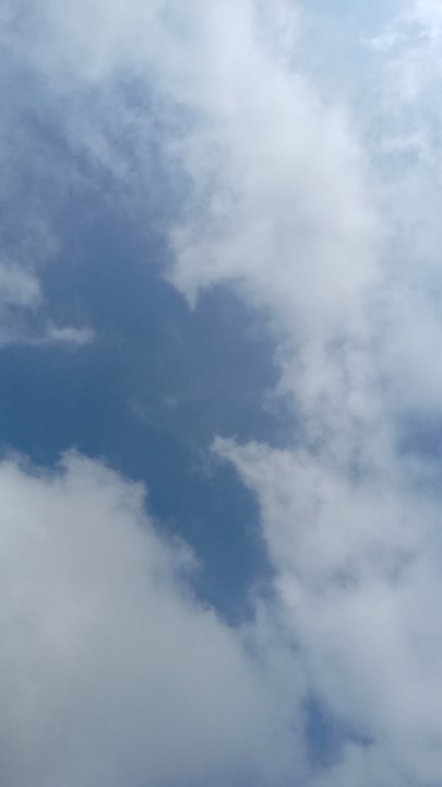 مشاركاتي في أنت الراصد