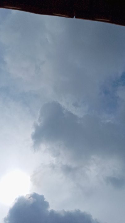 مشاركاتي في أنت الراصد