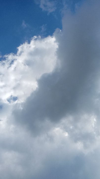 مشاركاتي في أنت الراصد