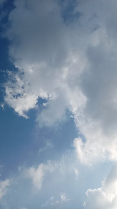 مشاركاتي في أنت الراصد