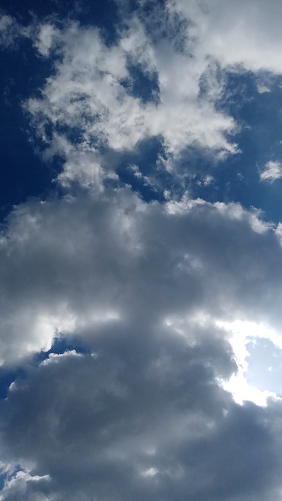 مشاركاتي في أنت الراصد