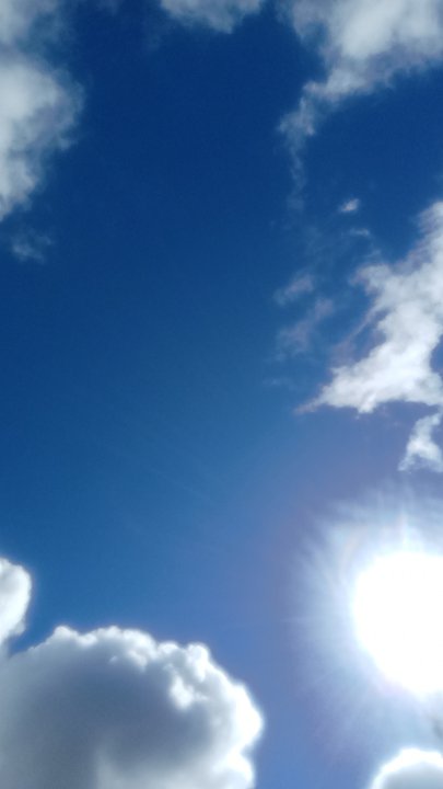 مشاركاتي في أنت الراصد