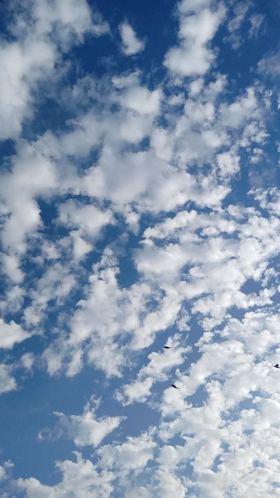 مشاركاتي في أنت الراصد