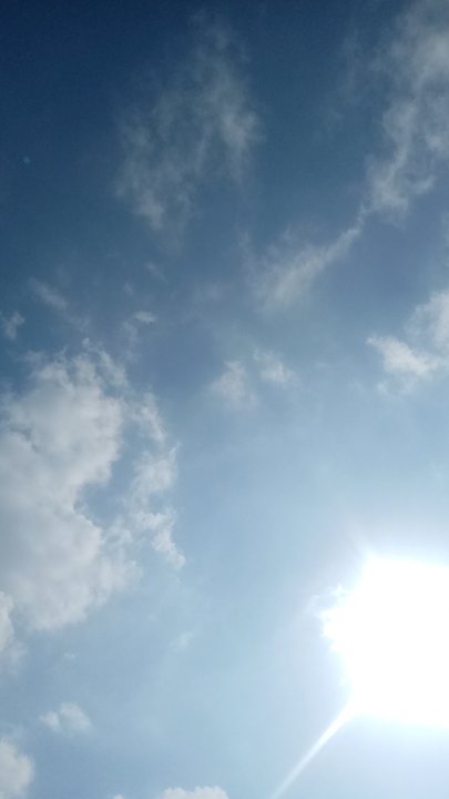 مشاركاتي في أنت الراصد