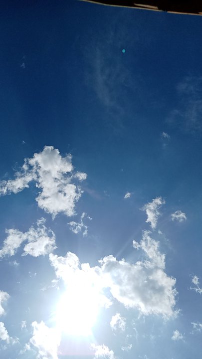 مشاركاتي في أنت الراصد