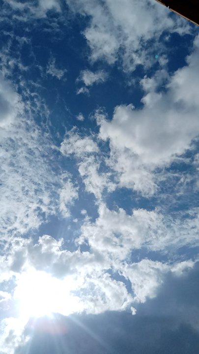 مشاركاتي في أنت الراصد