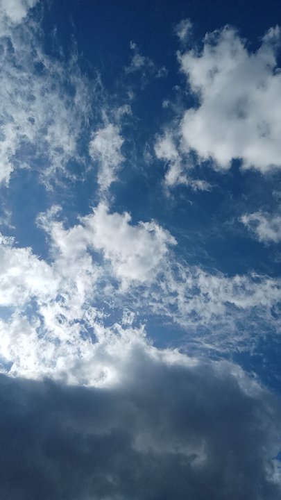 مشاركاتي في أنت الراصد