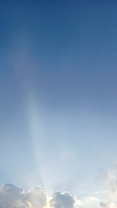 مشاركاتي في أنت الراصد