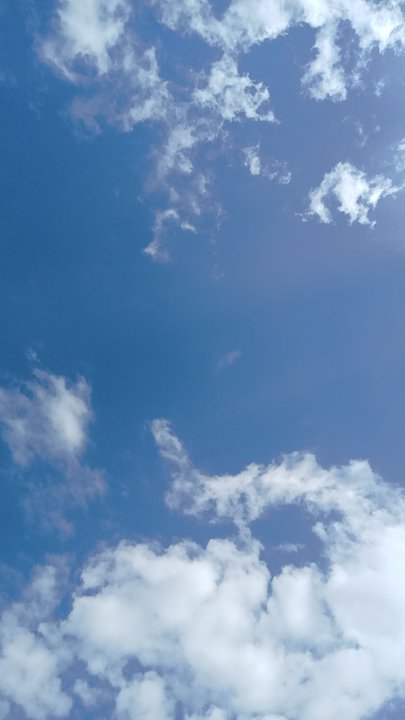 مشاركاتي في أنت الراصد