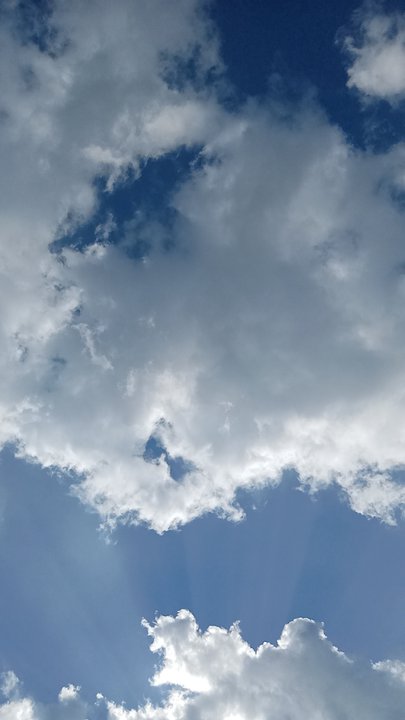 مشاركاتي في أنت الراصد