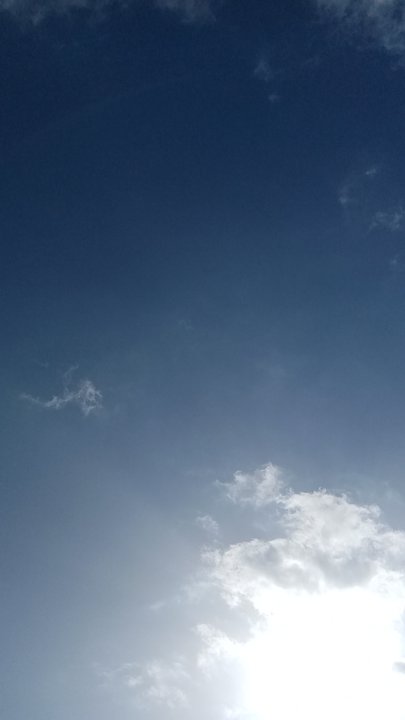 مشاركاتي في أنت الراصد