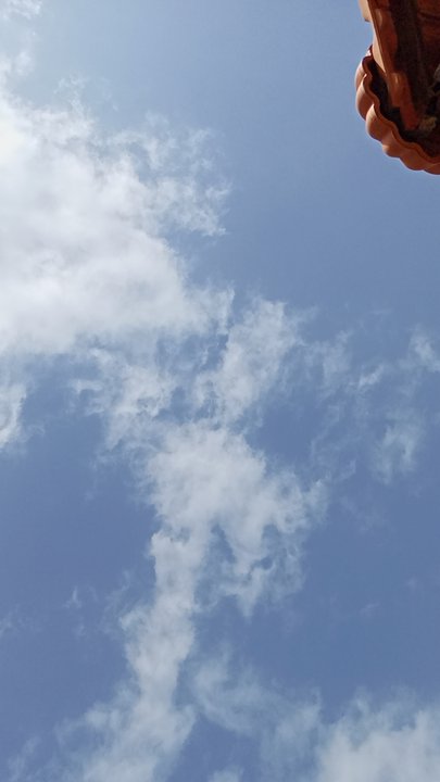 مشاركاتي في أنت الراصد