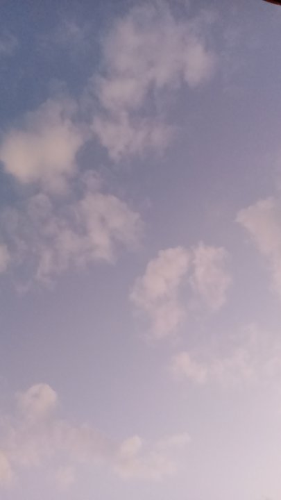مشاركاتي في أنت الراصد