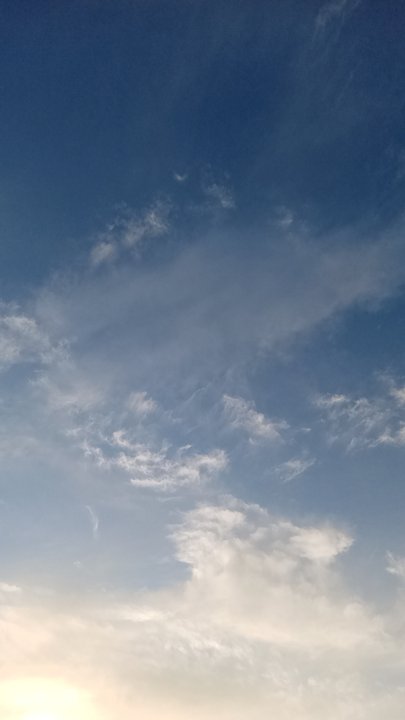 مشاركاتي في أنت الراصد