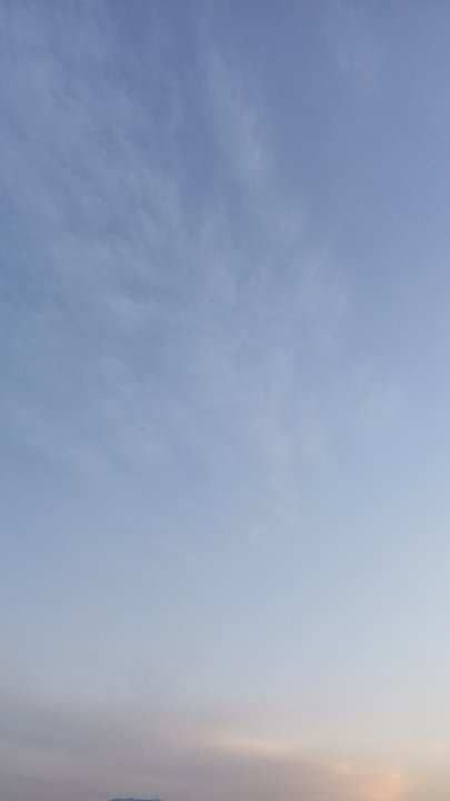 مشاركاتي في أنت الراصد