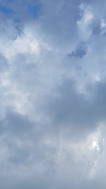 مشاركاتي في أنت الراصد