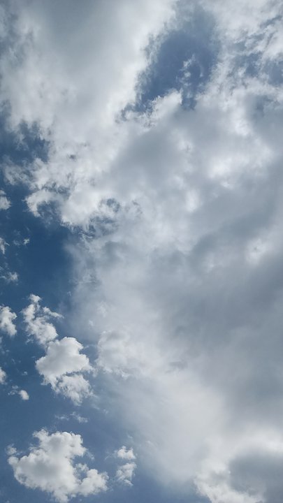 مشاركاتي في أنت الراصد