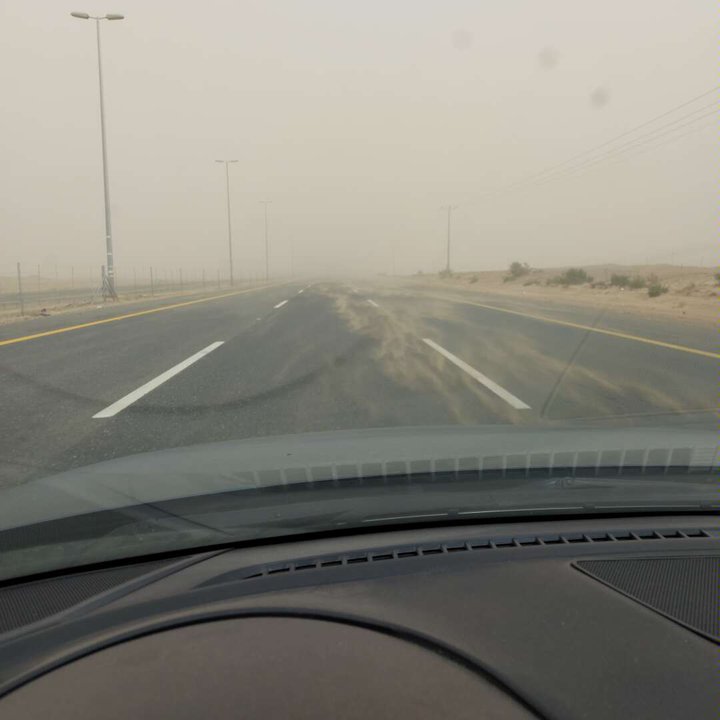 مشاركاتي في أنت الراصد