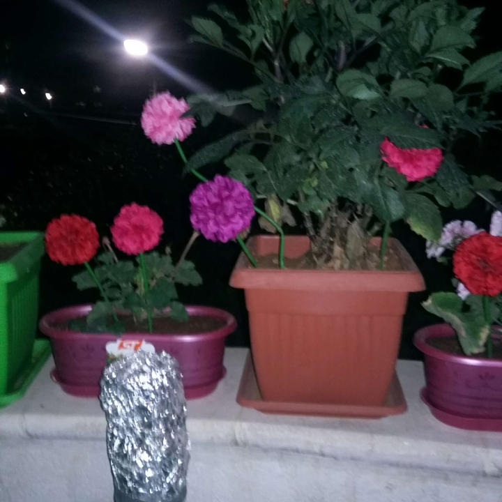 My Crowdsourcing Posts