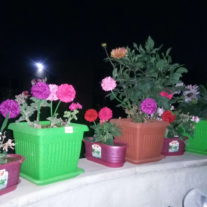 My Crowdsourcing Posts