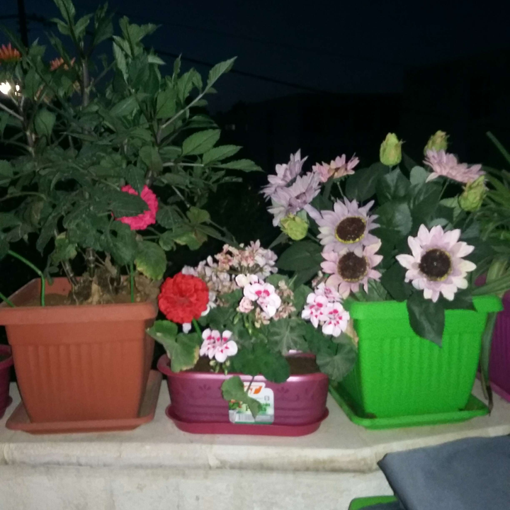 My Crowdsourcing Posts