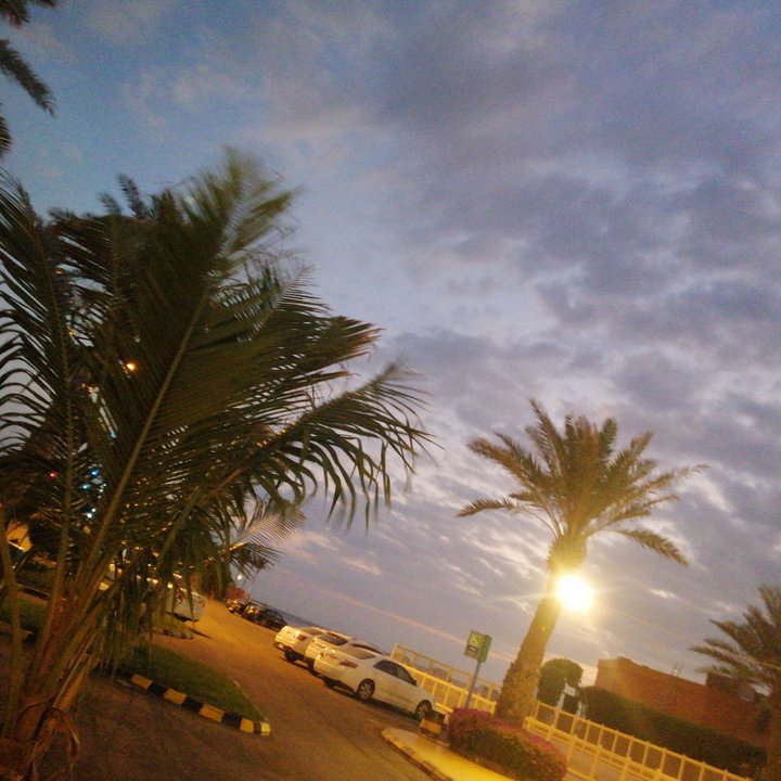 مشاركاتي في أنت الراصد